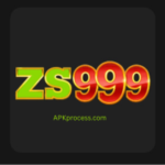 ZS999 Game
