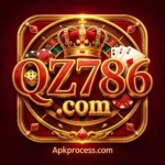 QZ786 Game